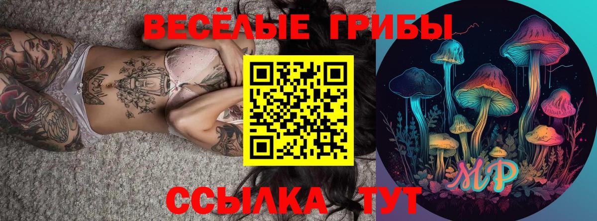 дарнет шоп  Псилоцибиновые грибы Psilocybine cubensis  Вход с VPN  Кимры  Псилоцибиновые грибы MAGIC MUSHROOMS 